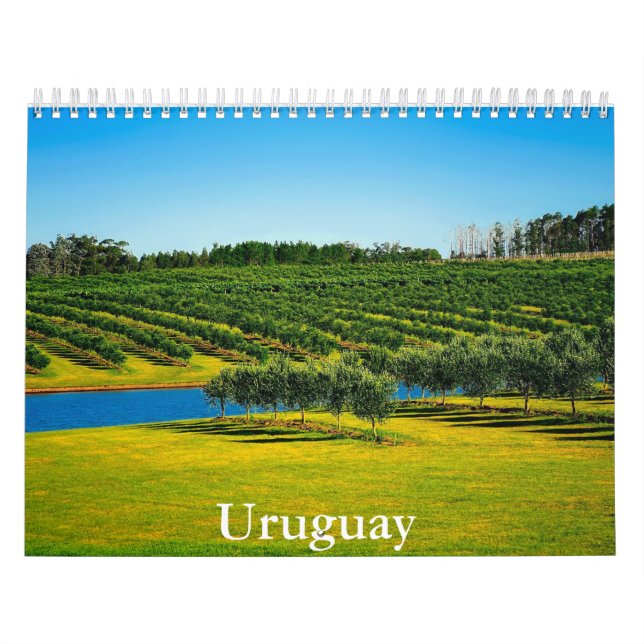 Calendrier Uruguay (Protection)