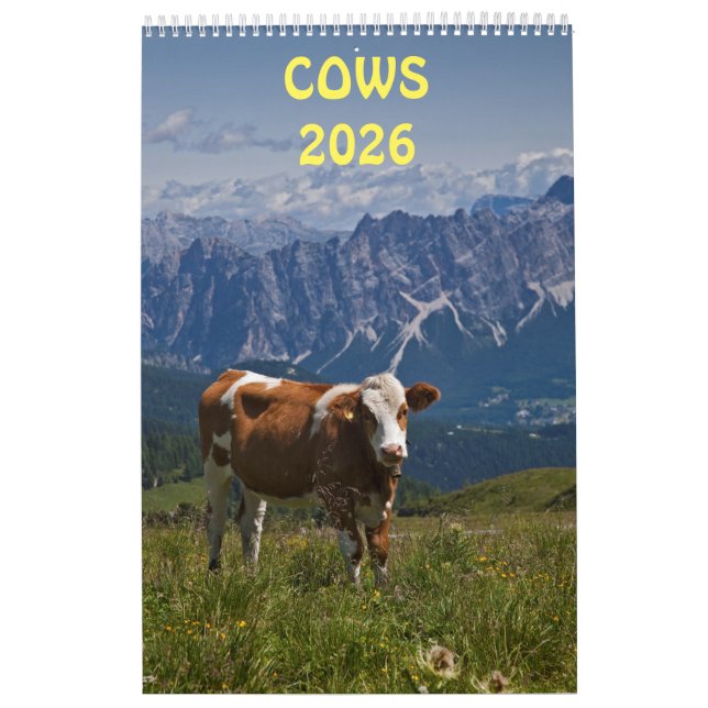 Calendrier Vaches (Protection)