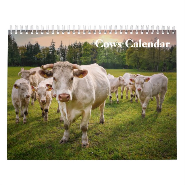 Calendrier Vaches 2027 (Protection)