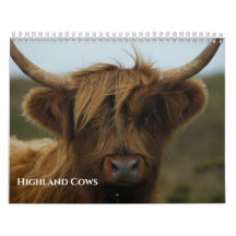 Vaches des Highlands 2026