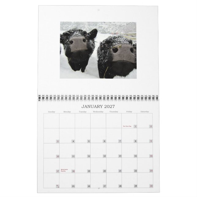 Calendrier Vaches et veaux 2015 (Jan 2027)