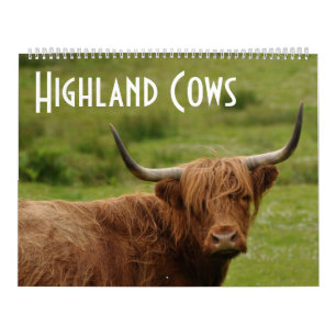 Calendrier Vaches Highland - 12 mois de bovins Highland -