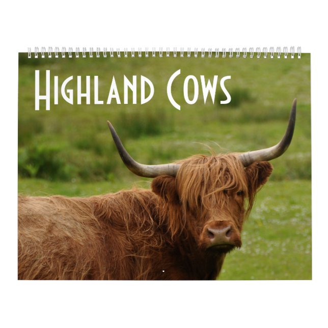 Calendrier Vaches Highland - 12 mois de bovins Highland - (Protection)