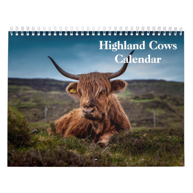 Calendrier Vaches Highland 2025 (Protection)