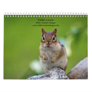 Calendrier Variété de la faune 2026