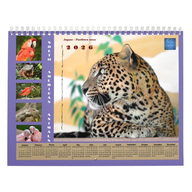 Calendrier Various animals of South America Calendar (Protection)