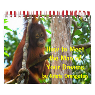 Calendrier Véritable Amour : comment rencontrer l'homme de vo