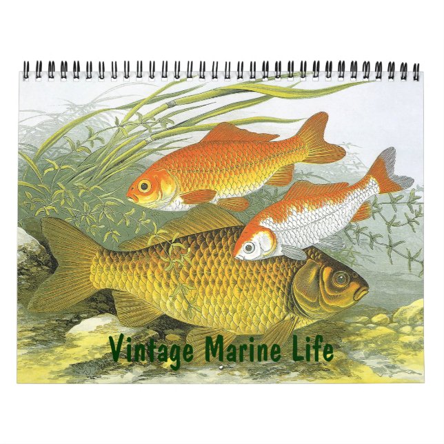 Calendrier Vie marine vintage Poissons, océans et rivières (Protection)