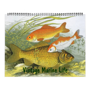 Calendrier Vie marine vintage Poissons, océans et rivières