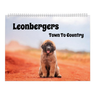 Calendrier Ville-pays Leonbergers