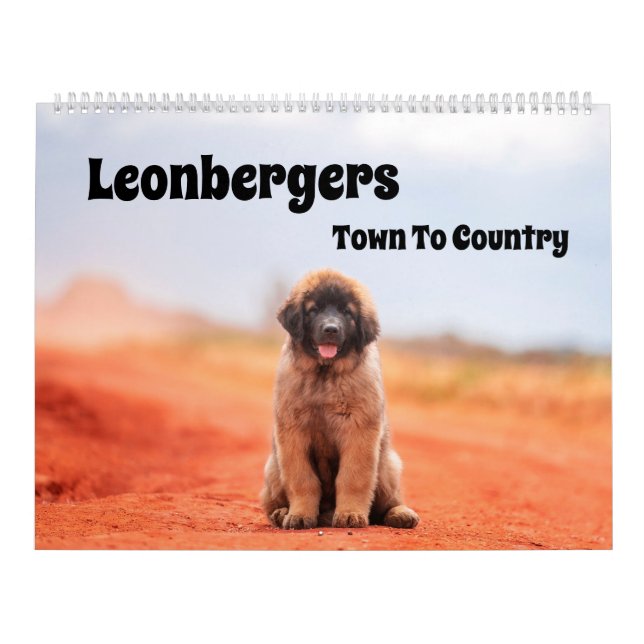 Calendrier Ville-pays Leonbergers (Protection)
