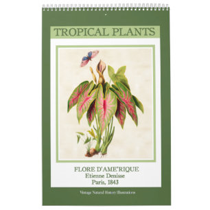 Calendrier Vintage Botanique Tropical Plantes 2025