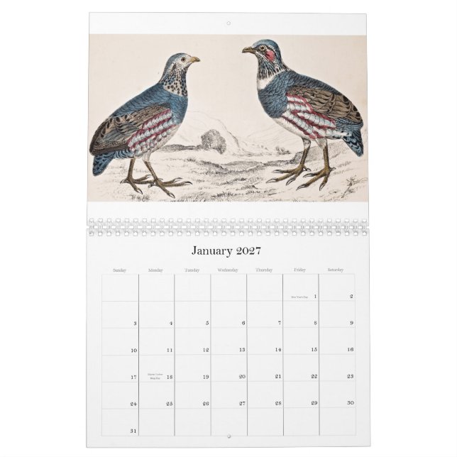 Calendrier vintage d'oiseau - 2013 (Jan 2027)
