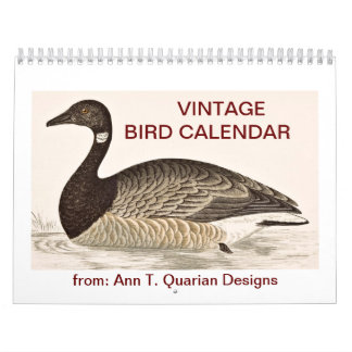 Calendrier vintage d'oiseau - 2013