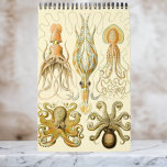 Calendrier Vintage Ernst Haeckel, Biologie, Botanique, Scienc<br><div class="desc">Calendrier de 12 mois avec illustrations vintages d'Ernst Haeckel. Un grand cadeau pour les geeks et les geeks de la science ! De la biologie marine à la botanique et au-delà ! Comprend des scènes de nature avec des animaux, des araignées déplaisantes, des plantes tropicaux, des fleurs et des orchidées...</div>