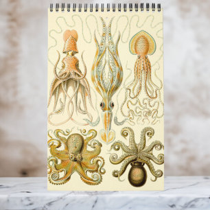 Calendrier Vintage Ernst Haeckel, Biologie, Botanique, Scienc
