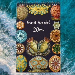 Calendrier Vintage Ernst Haeckel, Biologie, Botanique, Scienc