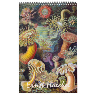 Calendrier Vintage Ernst Haeckel, Biologie, Botanique, Scienc