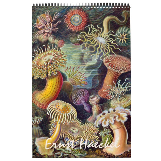 Calendrier Vintage Ernst Haeckel, Biology, Botany, Science (Protection)