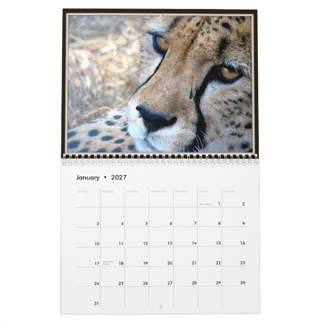 Calendrier Visages d'animal sauvage (Jan 2027)