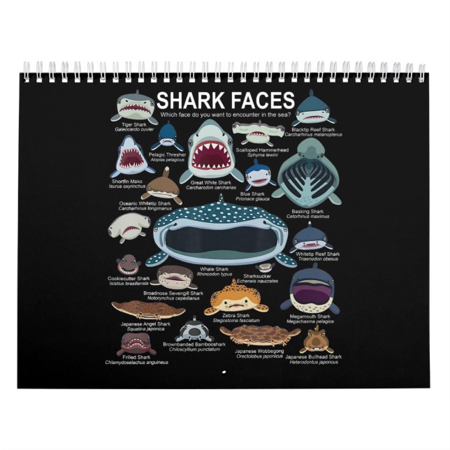 Calendrier Visages de requins auxquels vous voulez participer (Protection)