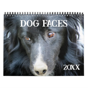Calendrier Visages et Expressions de Chiens