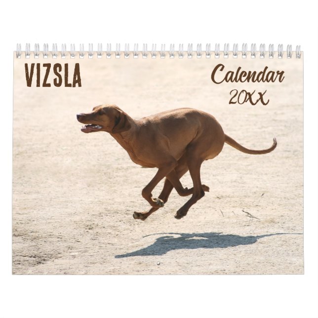 Calendrier Vizsla 2026 (Protection)