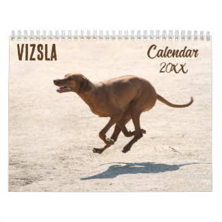 Calendrier Vizsla 2026