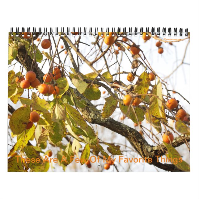 Calendrier Voici Quelques-Uns De Mes Choses Préférées Calendr (Protection)