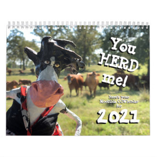 Calendrier Vous nHEIFER trouverez un meilleur COWlendar que