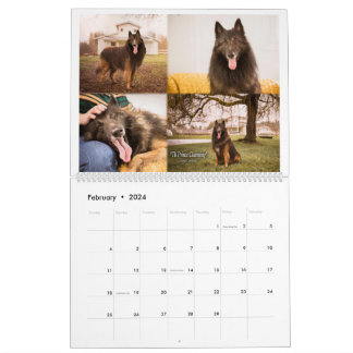 Calendrier Vrai Chevalier Belge Tervuren chien/chiot Calendri