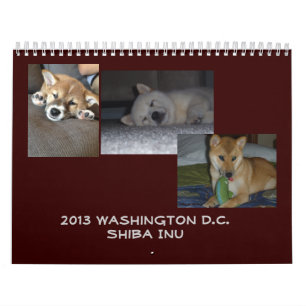 Calendrier Washington 2013 D.C. Shiba Inu