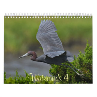 Calendrier Waterbirds 4