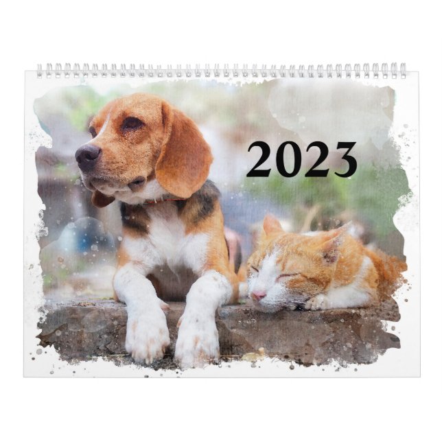 Calendrier Watercolor Pets Calendar Dogs, Cats, Birds & More (Protection)
