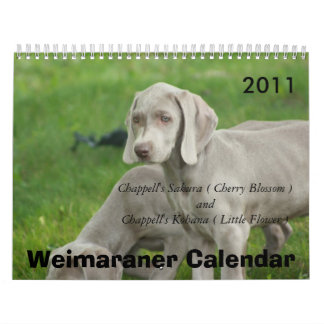 Calendrier Weimaraner
