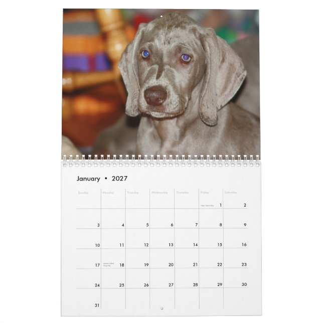 Calendrier Weimaraner (Jan 2027)