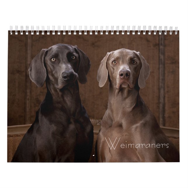Calendrier Weimaraners (Protection)
