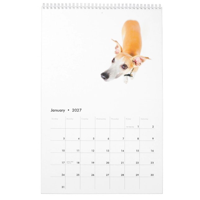 Calendrier Whippets dans le studio 2013 (Jan 2027)