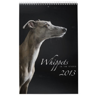Calendrier Whippets dans le studio 2013