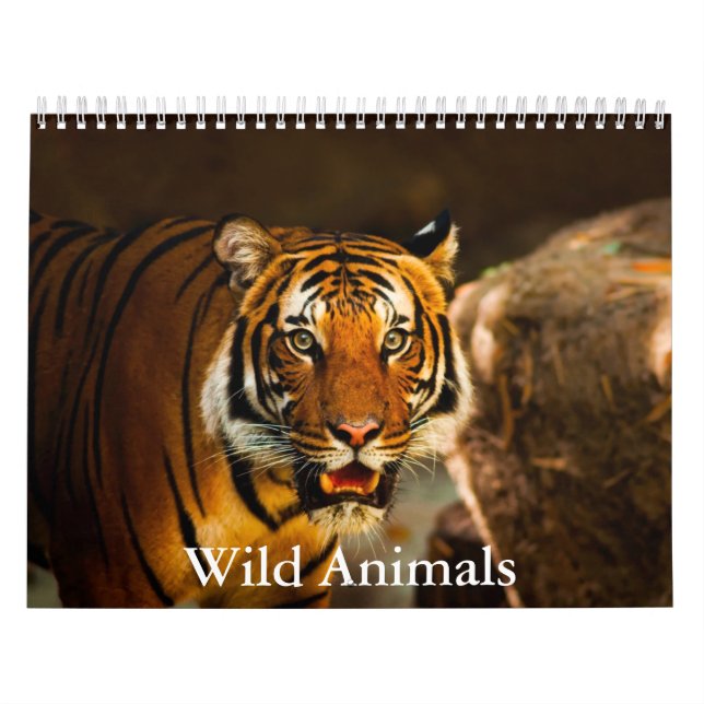 Calendrier Wild Animals Calendar (Protection)