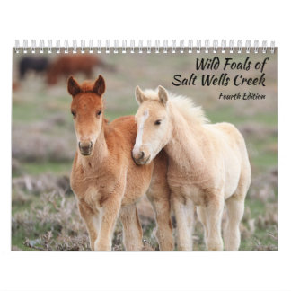 Calendrier Wild Foals of Salt Wells Creek
