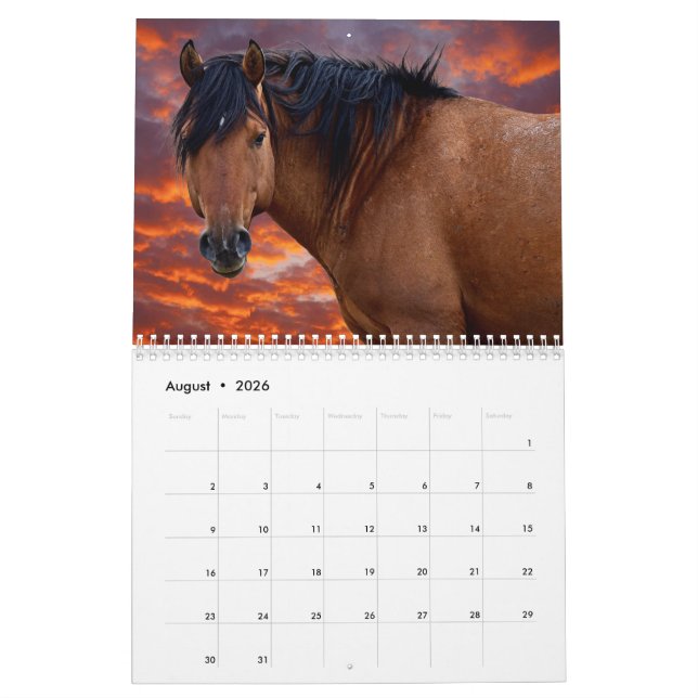 Calendrier Wild HOrse 2022 (Aug 2026)