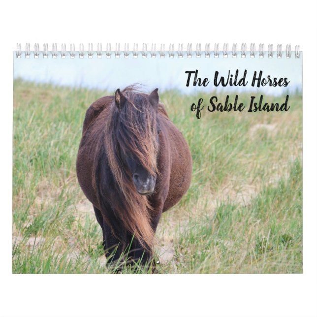 Calendrier Wild Horses of Sable Island Calendar (Protection)
