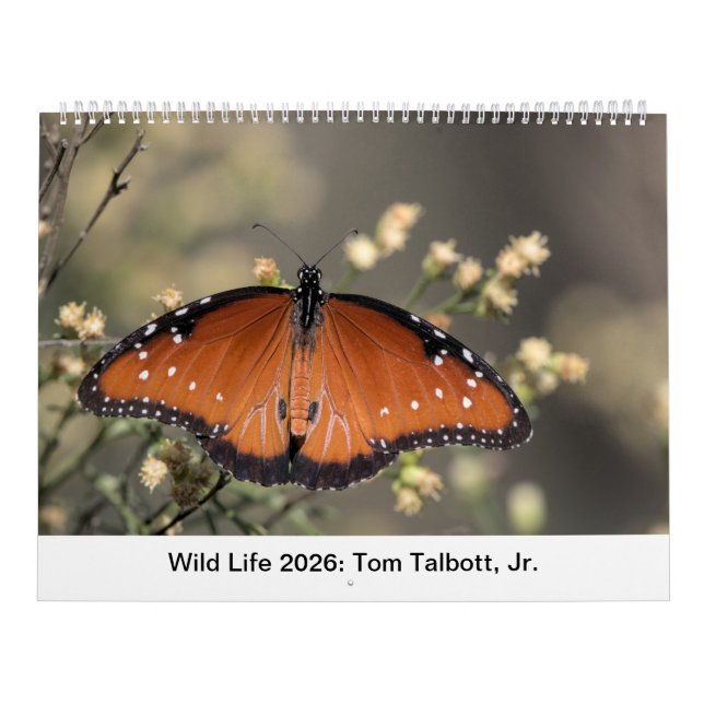 Calendrier Wild Life 2026 Calendar (Protection)
