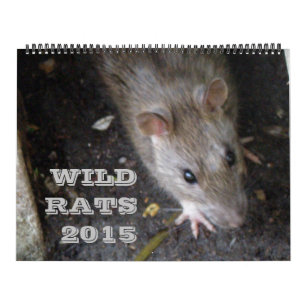 Calendrier Wild Rats 2015