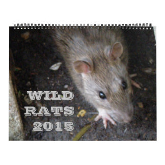 Calendrier Wild Rats 2015