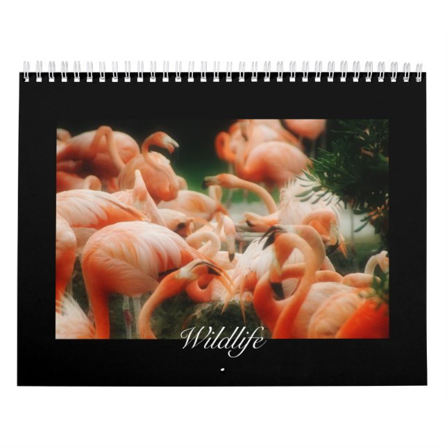Calendrier Wildlife Calendar (Protection)