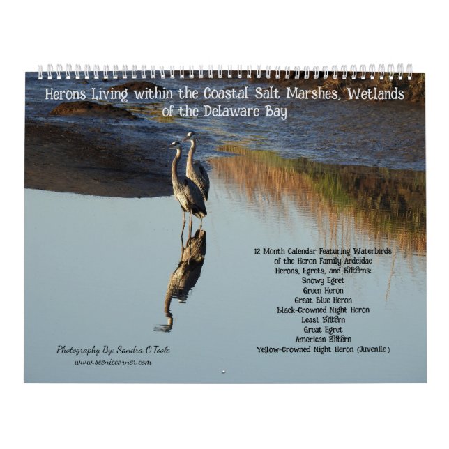 Calendrier Wildlife Calendar, Waterbirds, Herons (Protection)