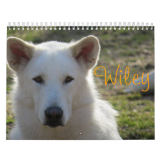 Calendrier Wiley