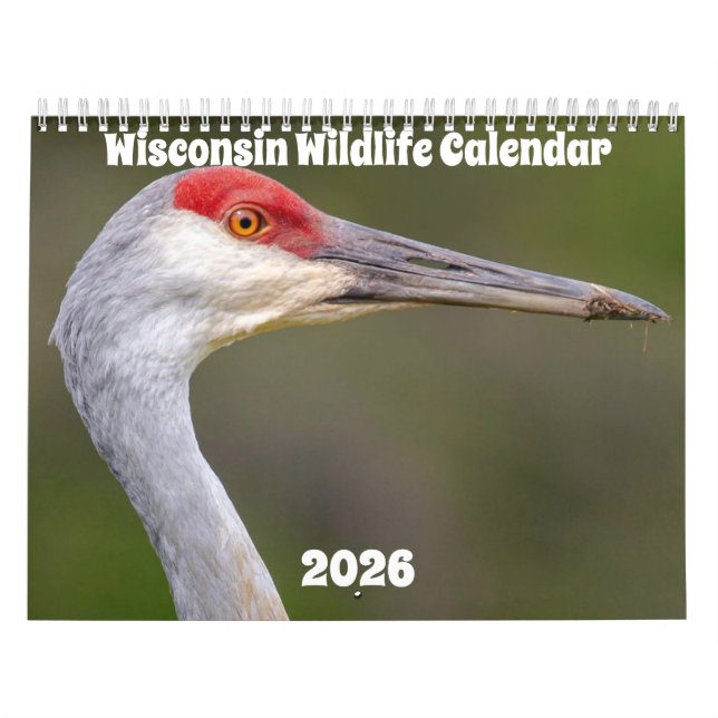 Calendrier Wisconsin Wildlife Calendar 2026 (Protection)